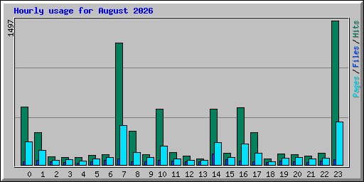 Hourly usage for August 2026